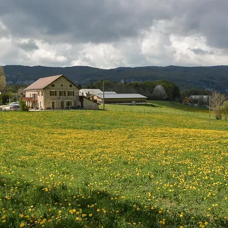 Hébergement de vacances Le Chalimont *